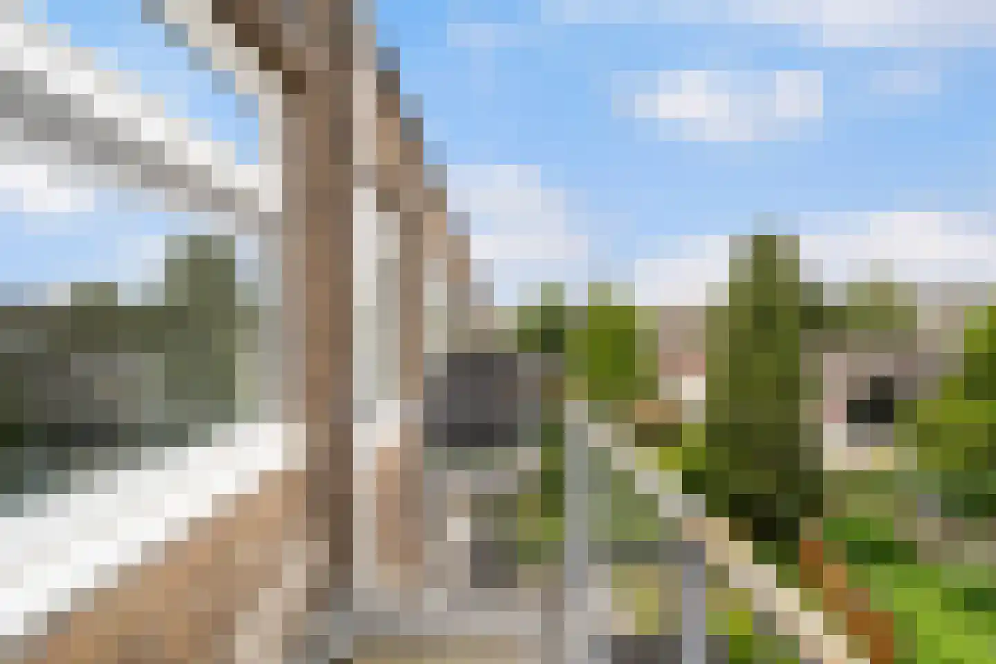 Terschellingsestraat 1 C Rotterdam thumbnail 22