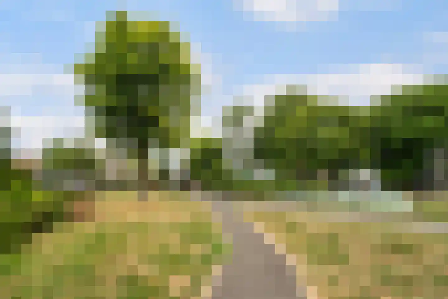 Terschellingsestraat 1 C Rotterdam thumbnail 32