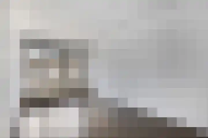 Terschellingsestraat 10 A Rotterdam thumbnail 4