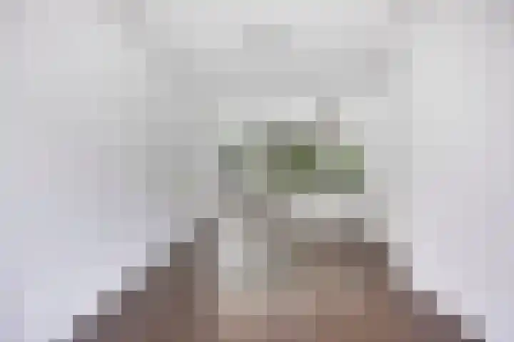 Terschellingsestraat 10 A Rotterdam thumbnail 5
