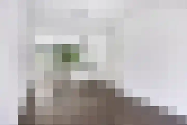 Terschellingsestraat 10 A Rotterdam thumbnail 6