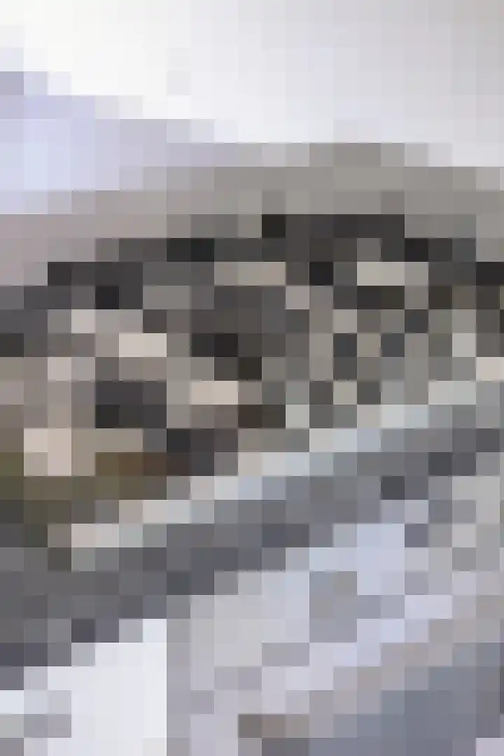Terschellingsestraat 10 A Rotterdam thumbnail 8
