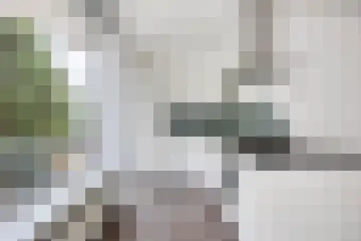 Terschellingsestraat 10 A Rotterdam thumbnail 9
