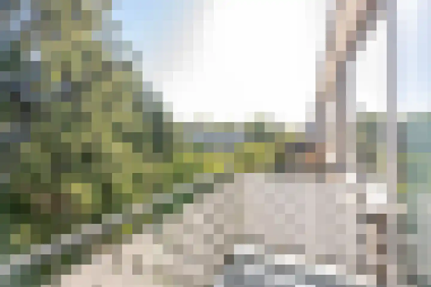 Terschellingsestraat 12 C Rotterdam thumbnail 14