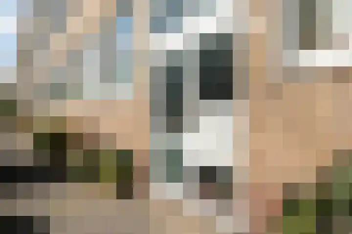 Terschellingsestraat 3 C Rotterdam thumbnail 26