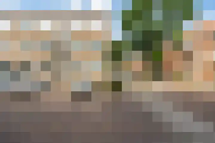 Terschellingsestraat 3 C Rotterdam thumbnail 5