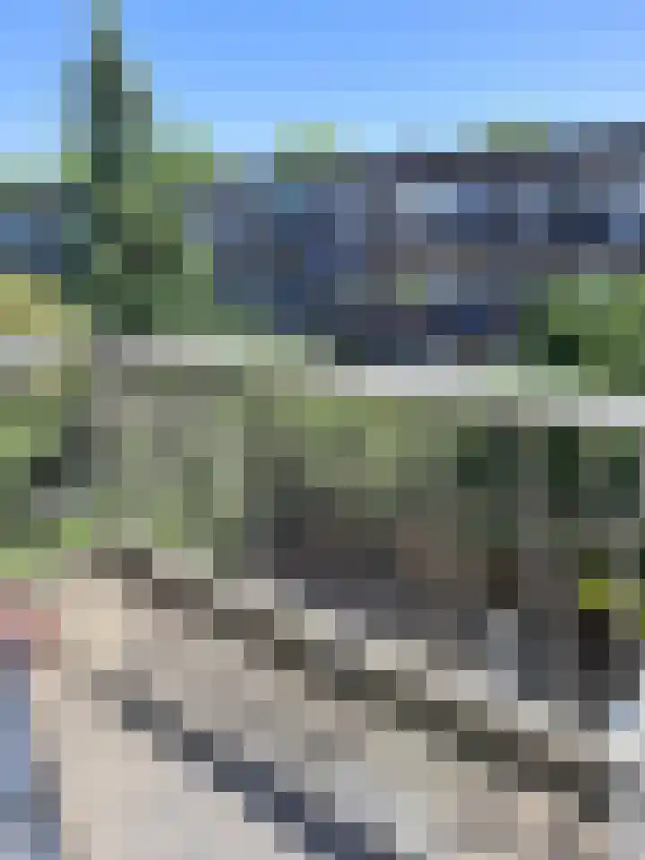 Terschellingsestraat 32 C Rotterdam thumbnail 9
