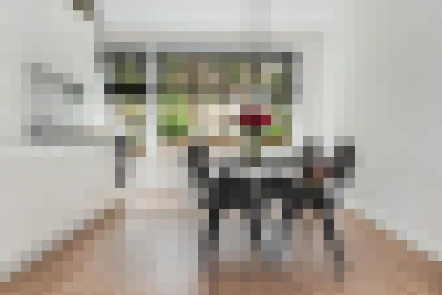 Terschellingsestraat 8 A Rotterdam thumbnail 13