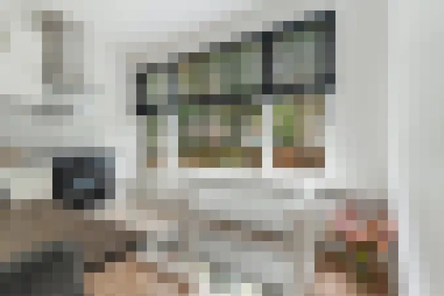 Terschellingsestraat 8 A Rotterdam thumbnail 18