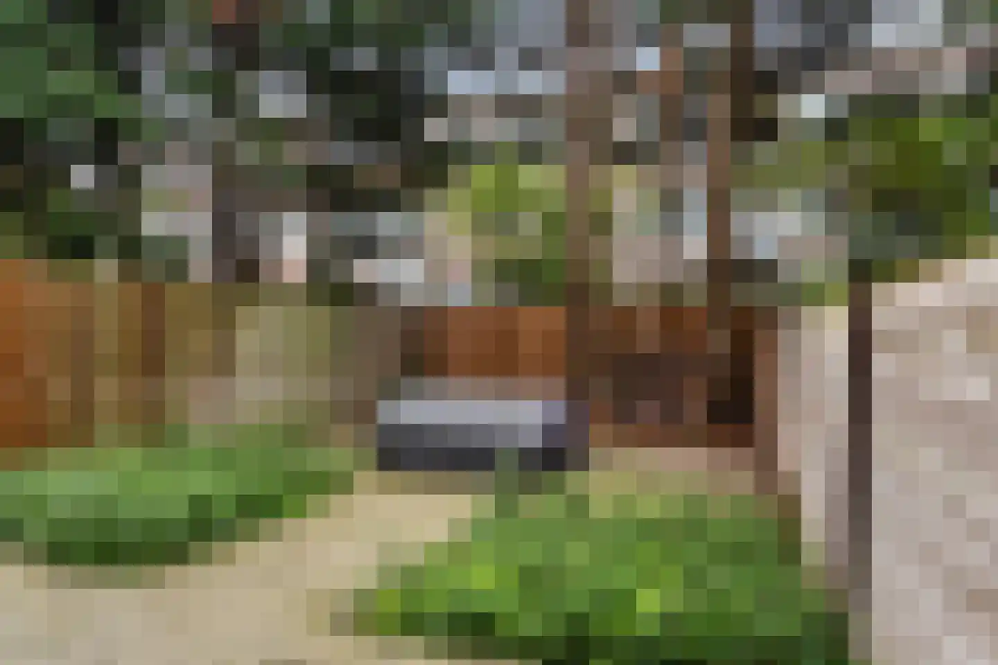 Terschellingsestraat 8 A Rotterdam thumbnail 4