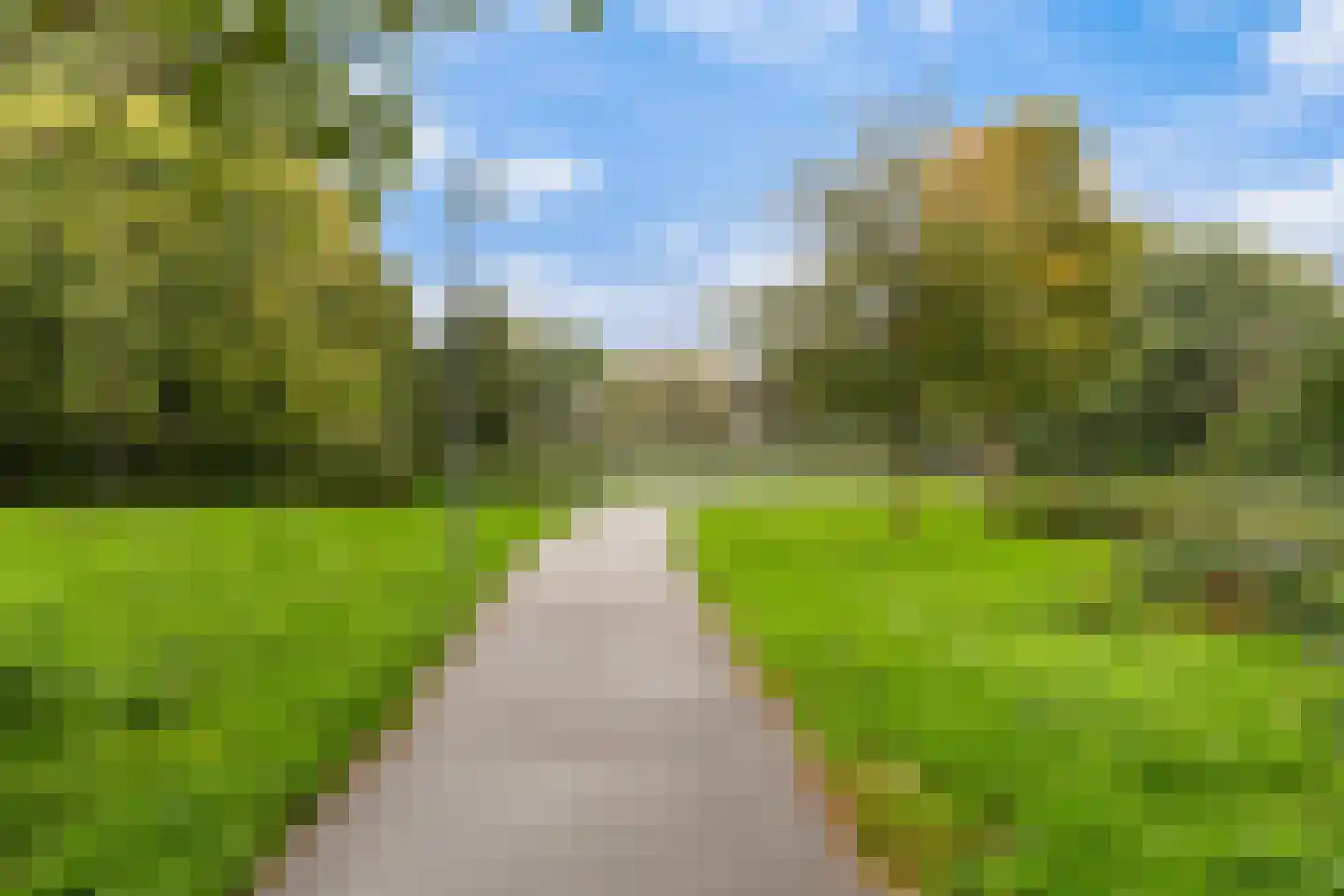 Terschellingsestraat 8 A Rotterdam thumbnail 5