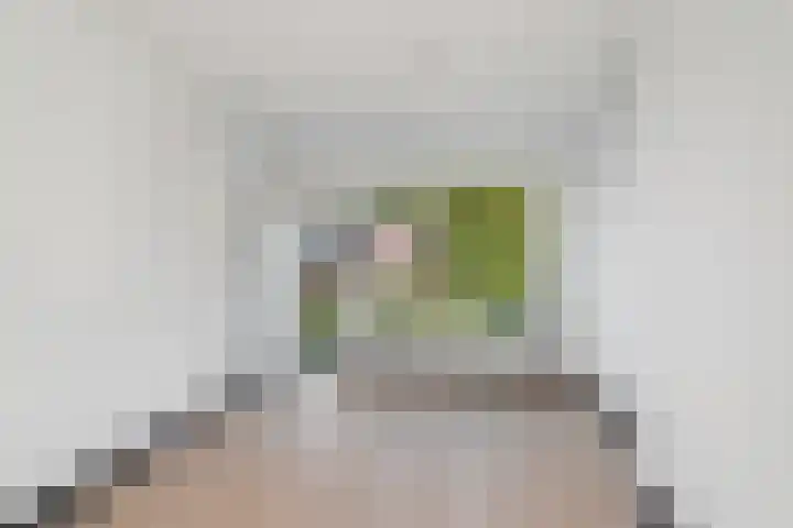 Terschellingsestraat 9 A Rotterdam thumbnail 11