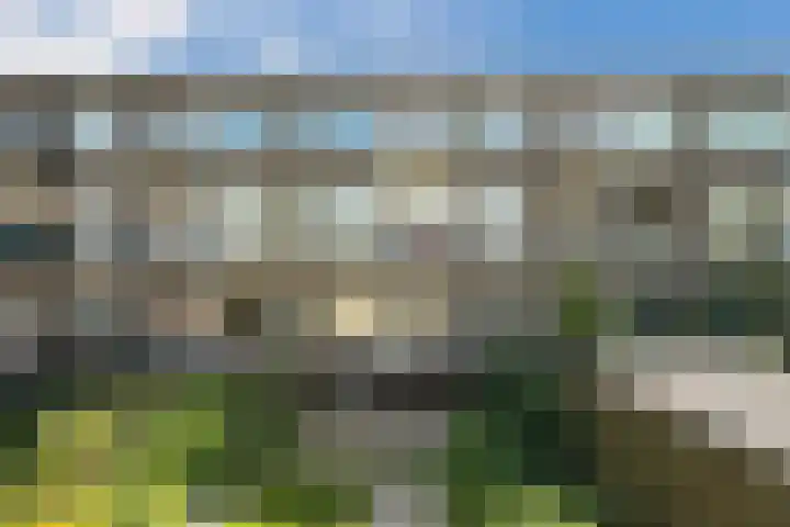 Terschellingsestraat 9 A Rotterdam thumbnail 4