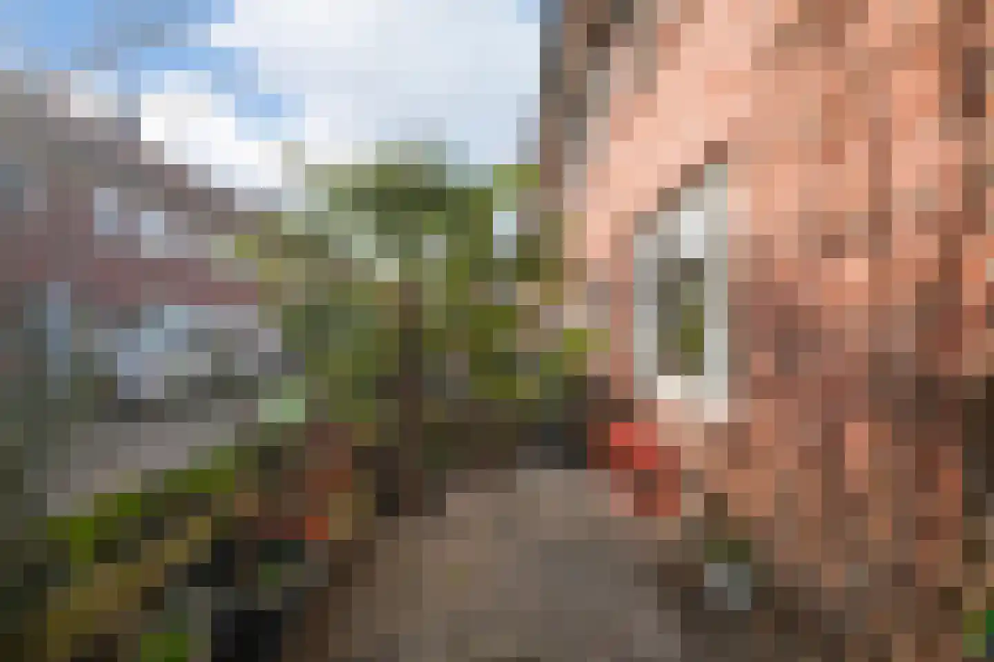 Terschellingstraat 11 Amsterdam thumbnail 27