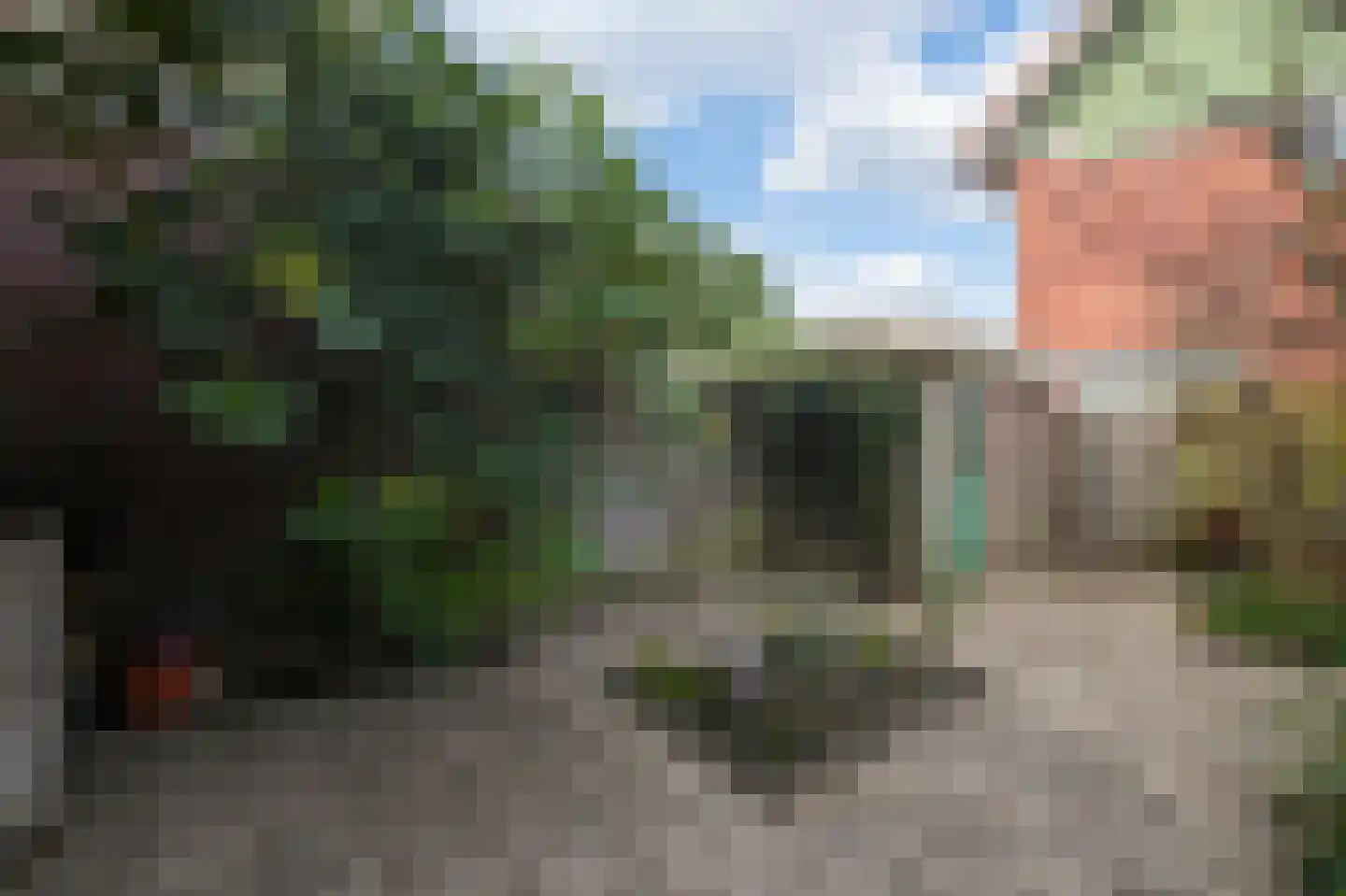 Terschellingstraat 11 Amsterdam thumbnail 6