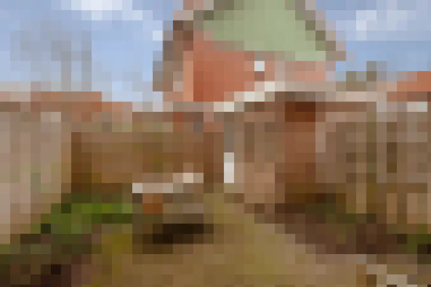 Terschellingstraat 17 Amsterdam thumbnail 28