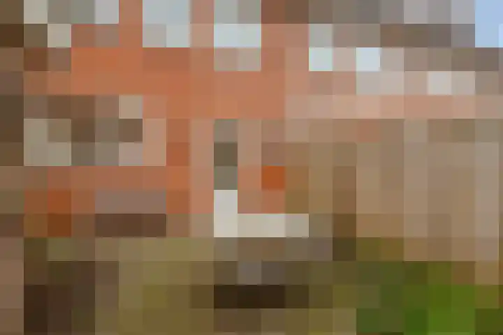 Terschellingstraat 17 Amsterdam thumbnail 29