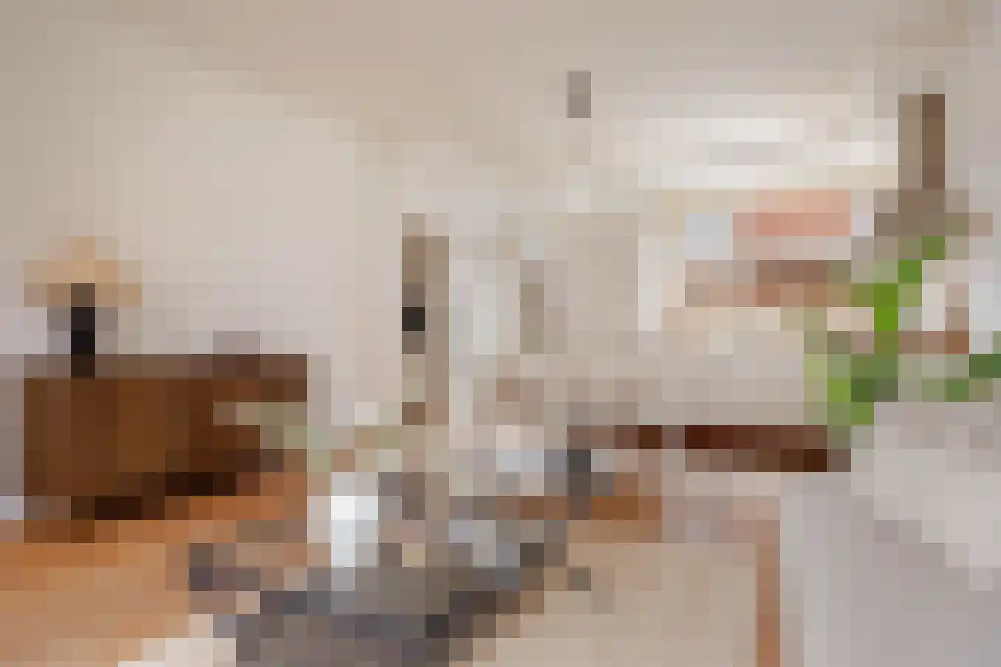 Terschellingstraat 17 Amsterdam thumbnail 6