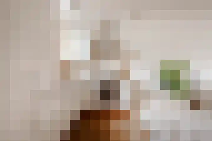 Terschellingstraat 17 Amsterdam thumbnail 9