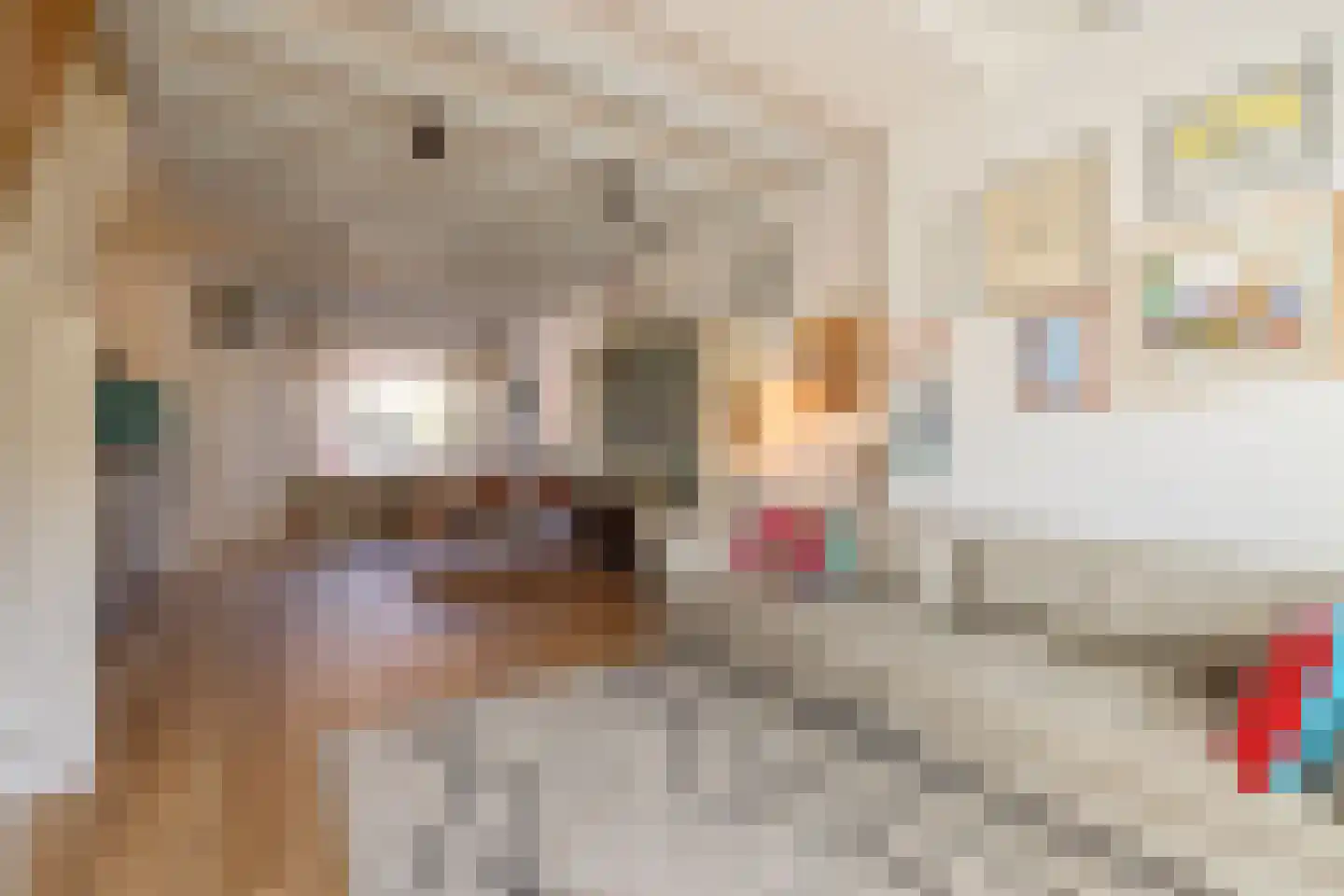Terschellingstraat 27 Amsterdam thumbnail 11