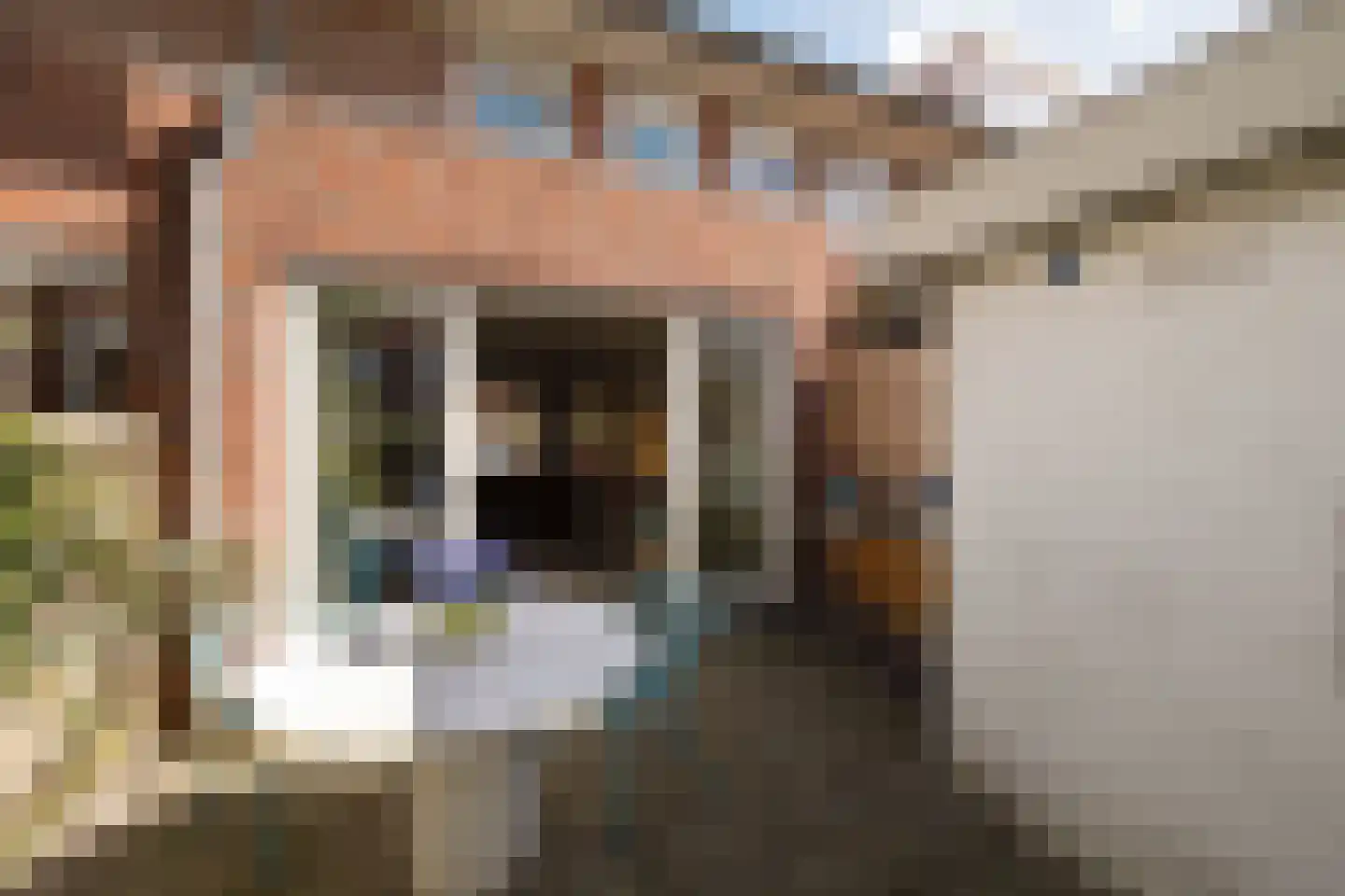 Terschellingstraat 27 Amsterdam thumbnail 28