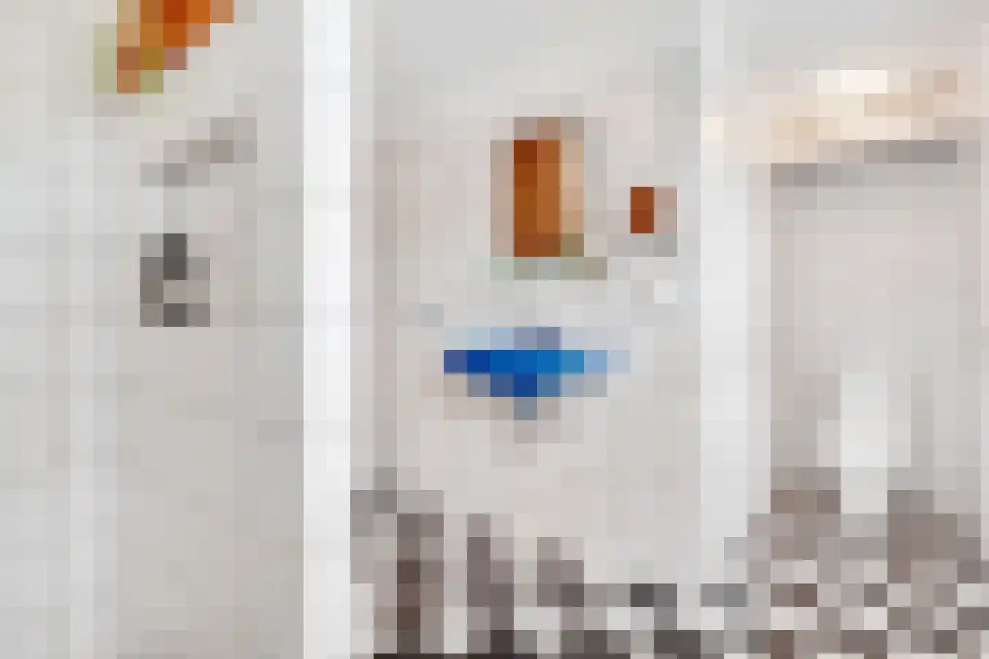 Terschellingstraat 29 Amsterdam thumbnail 13