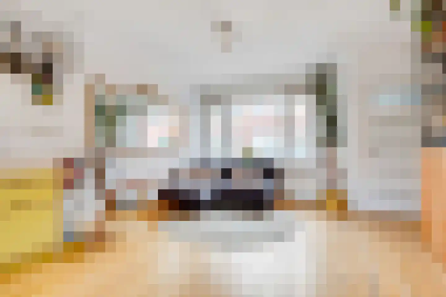 Terschellingstraat 29 Amsterdam thumbnail 6
