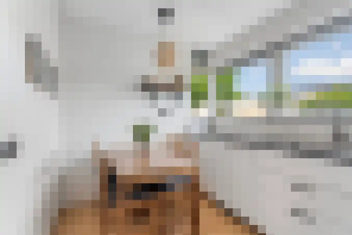 Terschellingstraat 71 Almere thumbnail 9