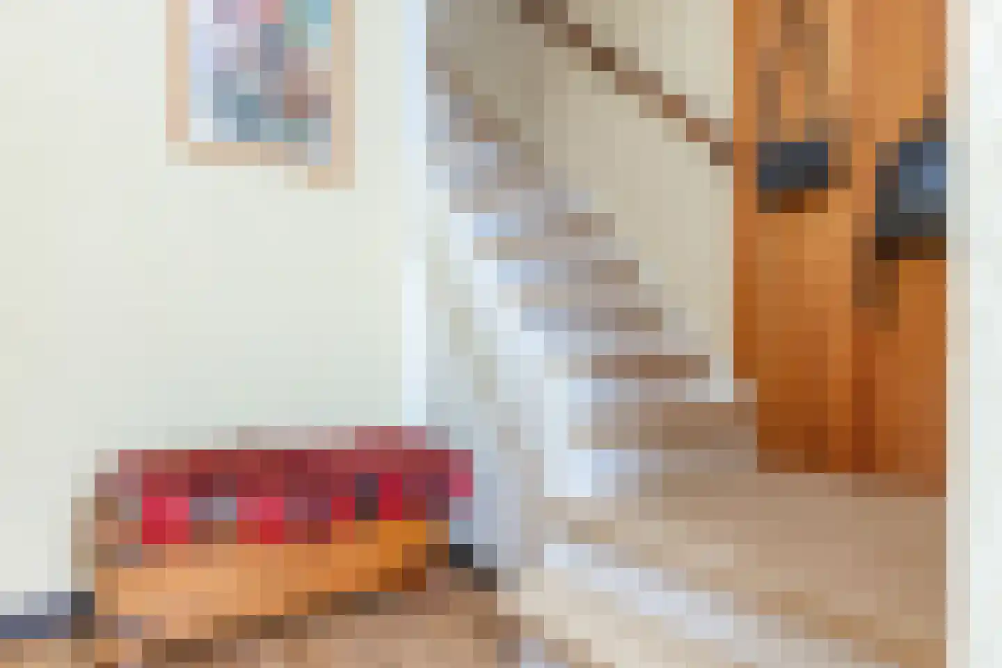 Terschellingstraat 8 Zaandam thumbnail 8