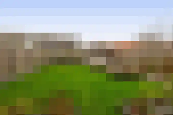 Tersteijnstraat 16 Waterlandkerkje thumbnail 35
