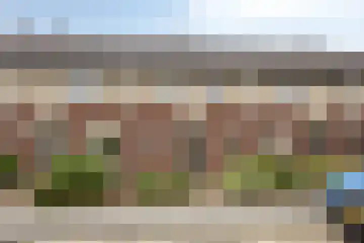 Terts 24 Kampen thumbnail 10