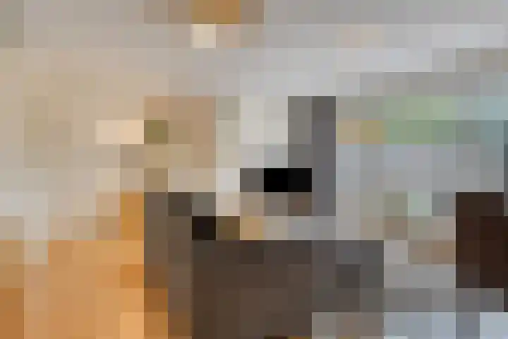 Terts 24 Kampen thumbnail 17