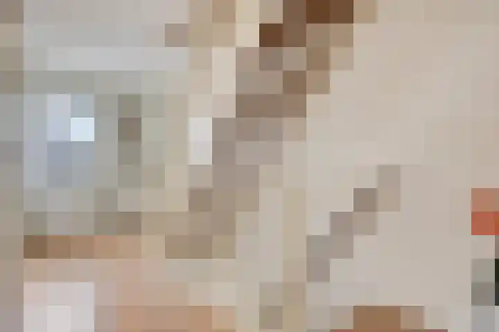 Terts 24 Kampen thumbnail 21