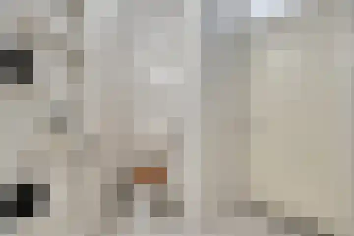 Terts 24 Kampen thumbnail 25