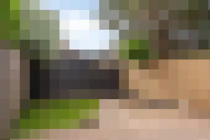 Terts 24 Kampen thumbnail 33