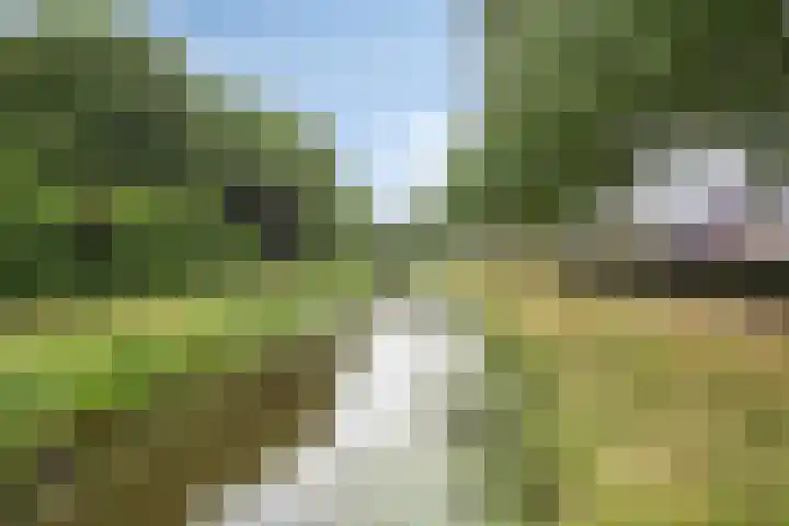 Terts 24 Kampen thumbnail 38