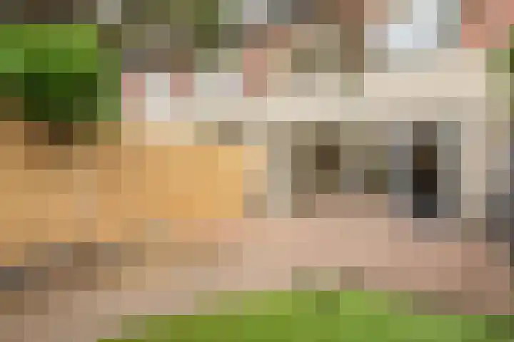Terts 24 Kampen thumbnail 6