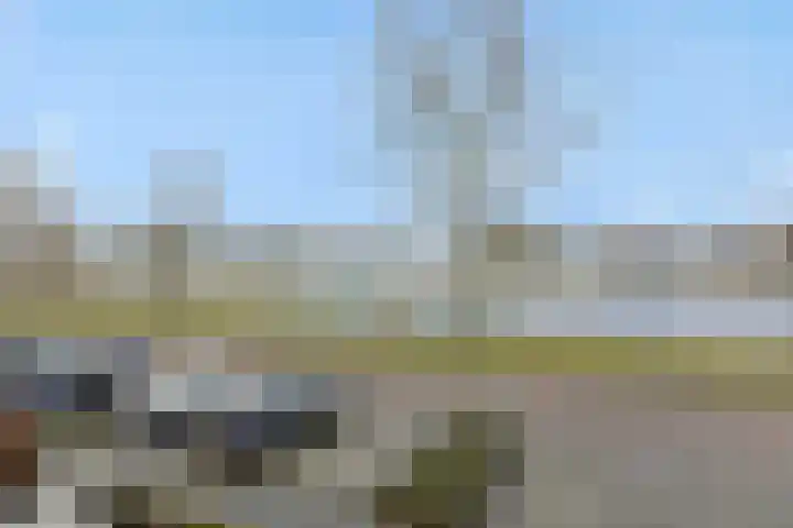 Tertsweg 15 Rosmalen thumbnail 20