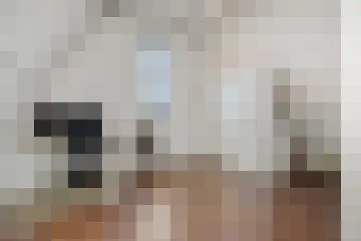 Tertsweg 15 Rosmalen thumbnail 25