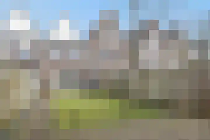 Tertsweg 15 Rosmalen thumbnail 28