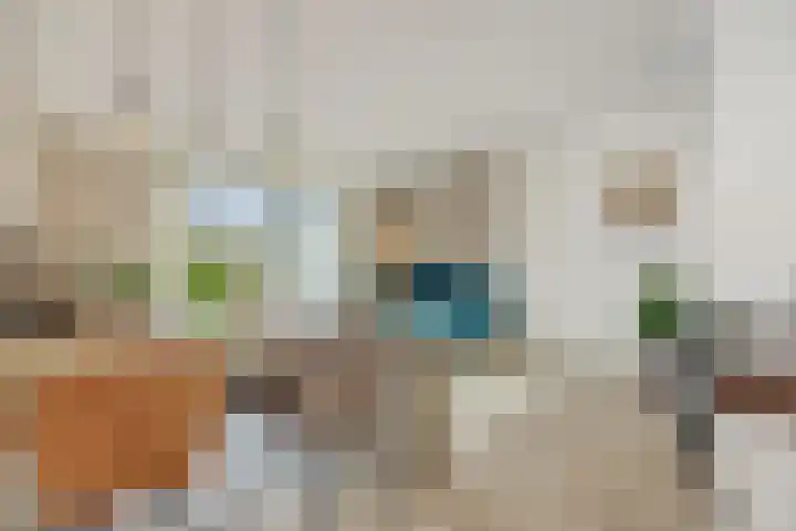Tertsweg 15 Rosmalen thumbnail 7