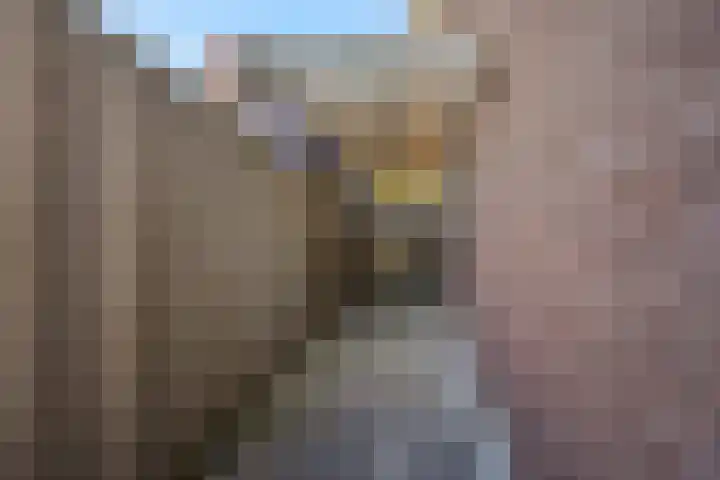Tertsweg 5 Rosmalen thumbnail 32