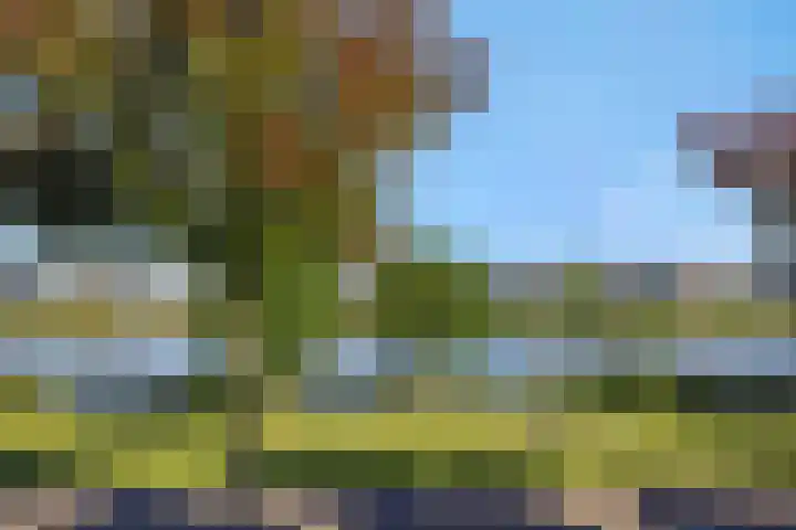 Tertsweg 5 Rosmalen thumbnail 34