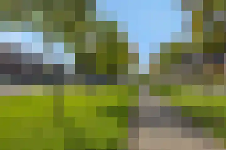 Tertsweg 5 Rosmalen thumbnail 40