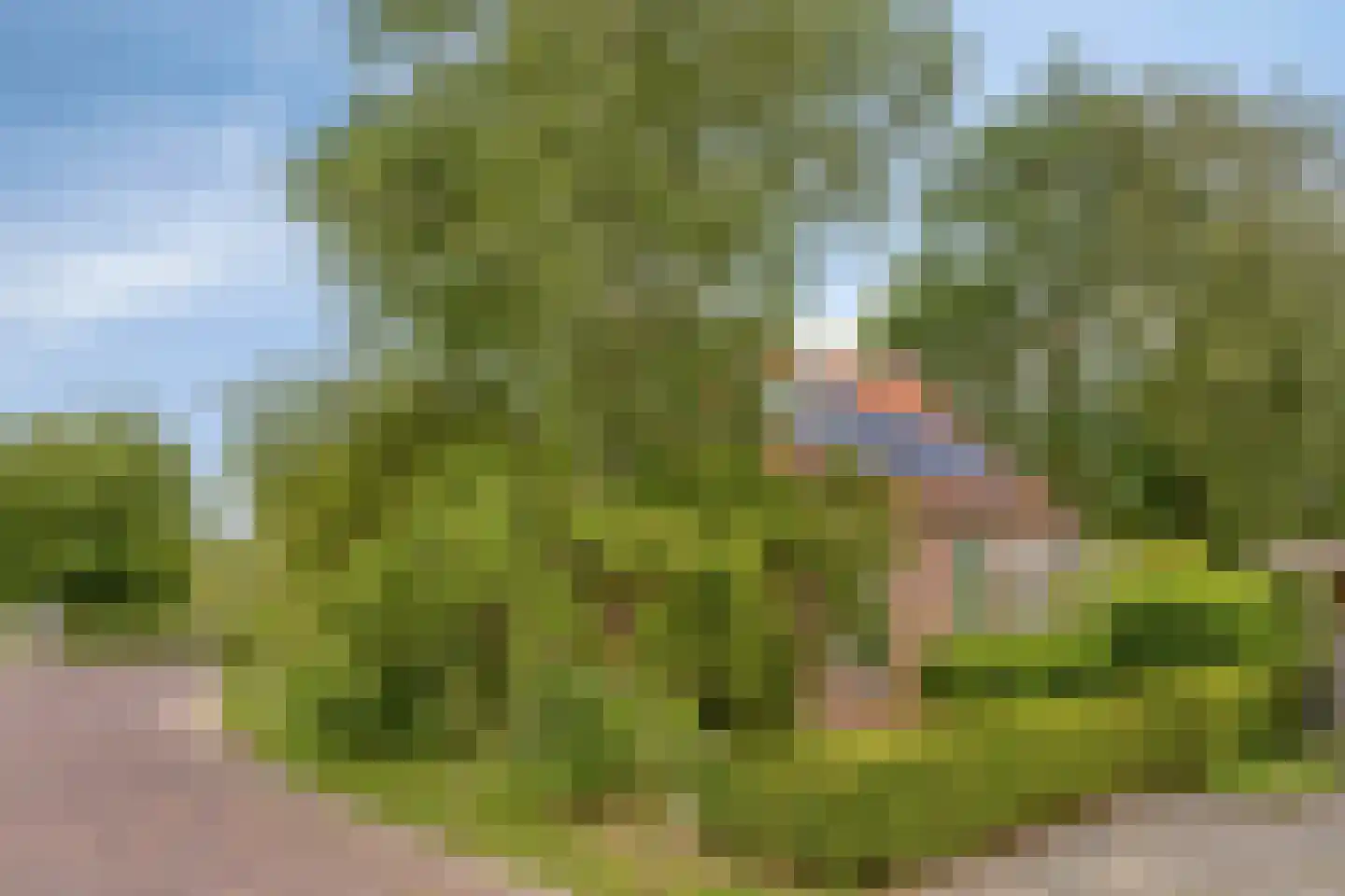 Tervatenseweg 6 Kloetinge thumbnail 21