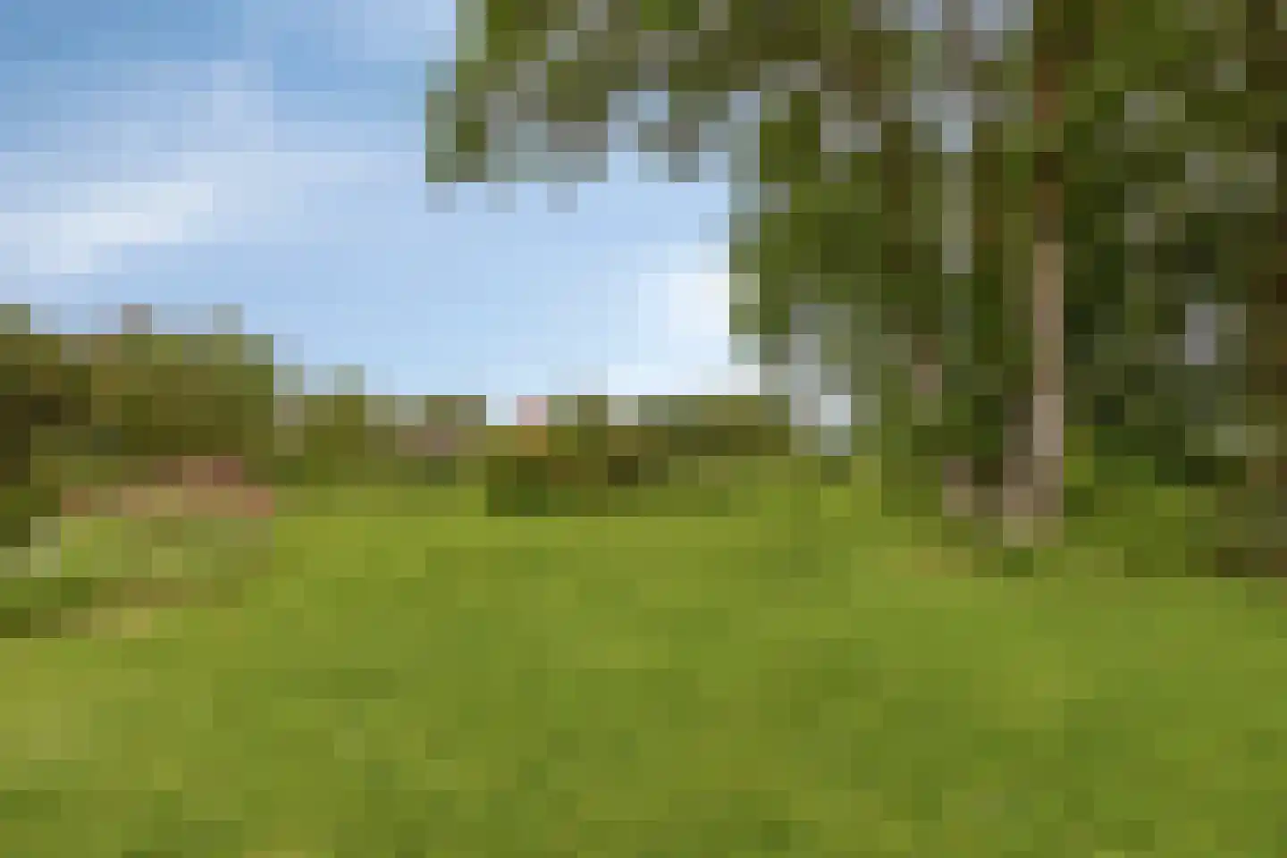 Tervatenseweg 6 Kloetinge thumbnail 25