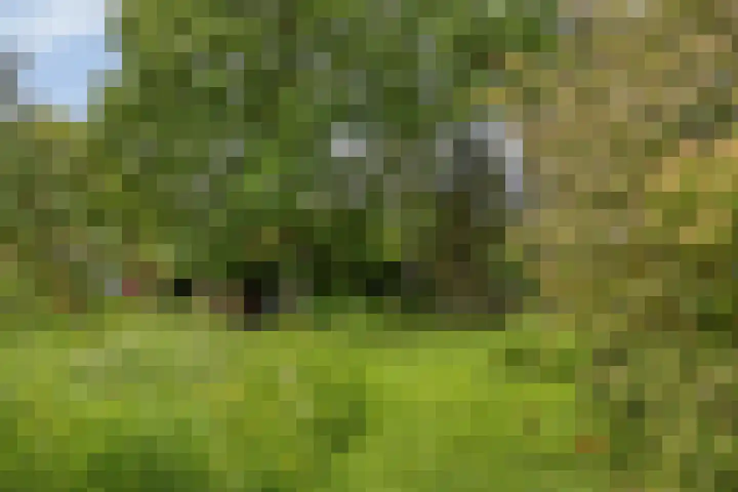 Tervatenseweg 6 Kloetinge thumbnail 27