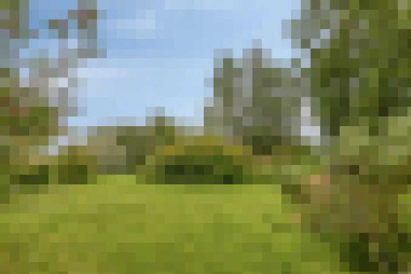 Tervatenseweg 6 Kloetinge thumbnail 28