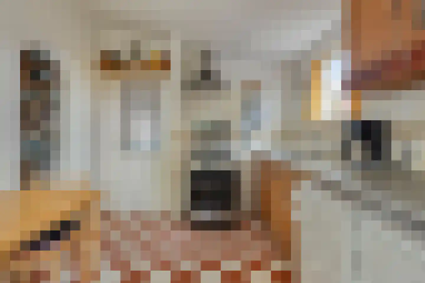 Tervatenseweg 6 Kloetinge thumbnail 8