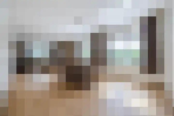 Tervoortseweg 10 E Bavel thumbnail 11